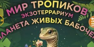 выставки в новокуйбышевске